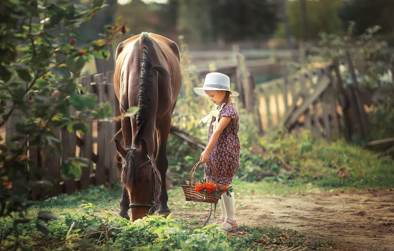 Фото обои лошадь, девочка, рябина