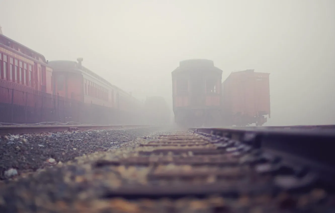 Фото обои city, город, туман, станция, вагоны, железная дорога, поезда, fog