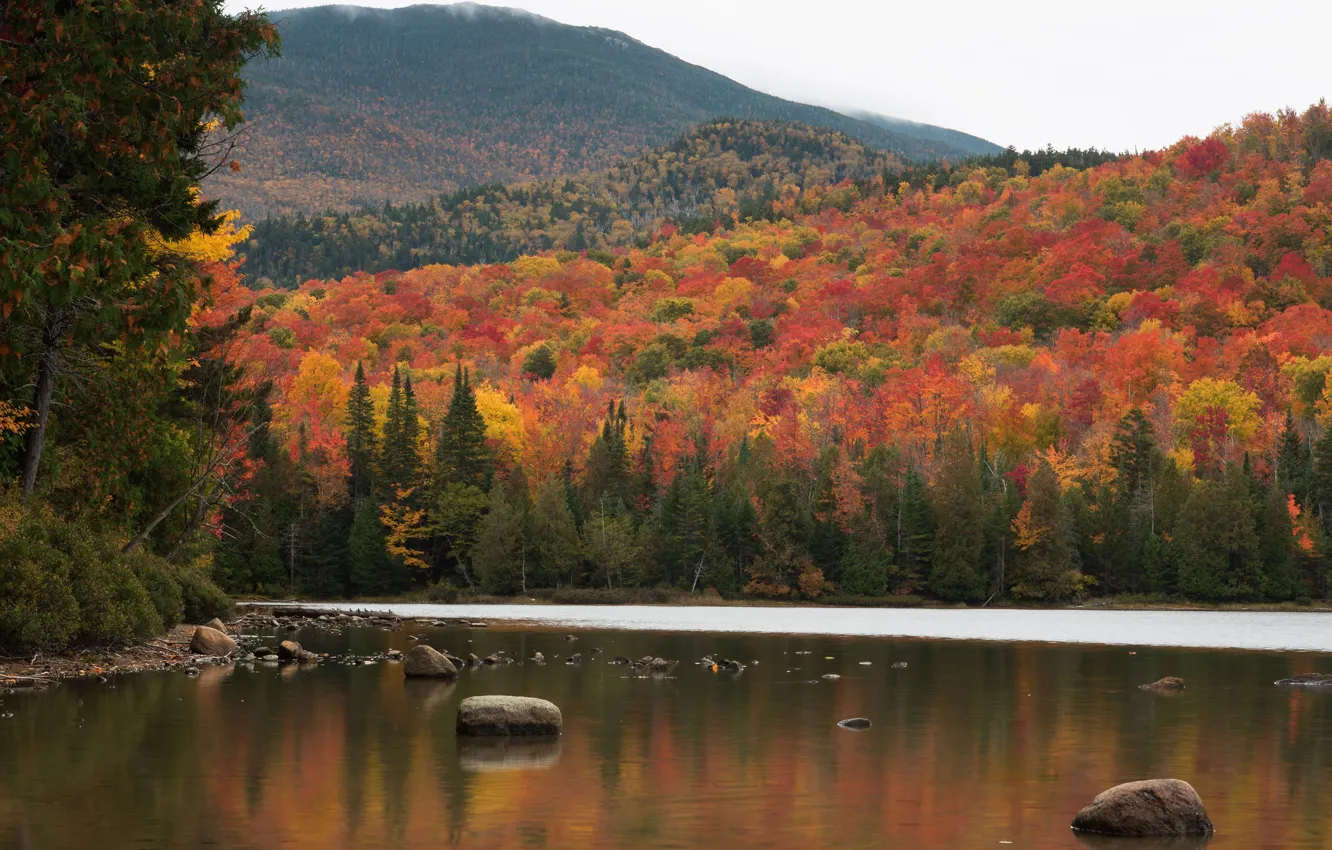 Фото обои осень, лес, деревья, горы, озеро