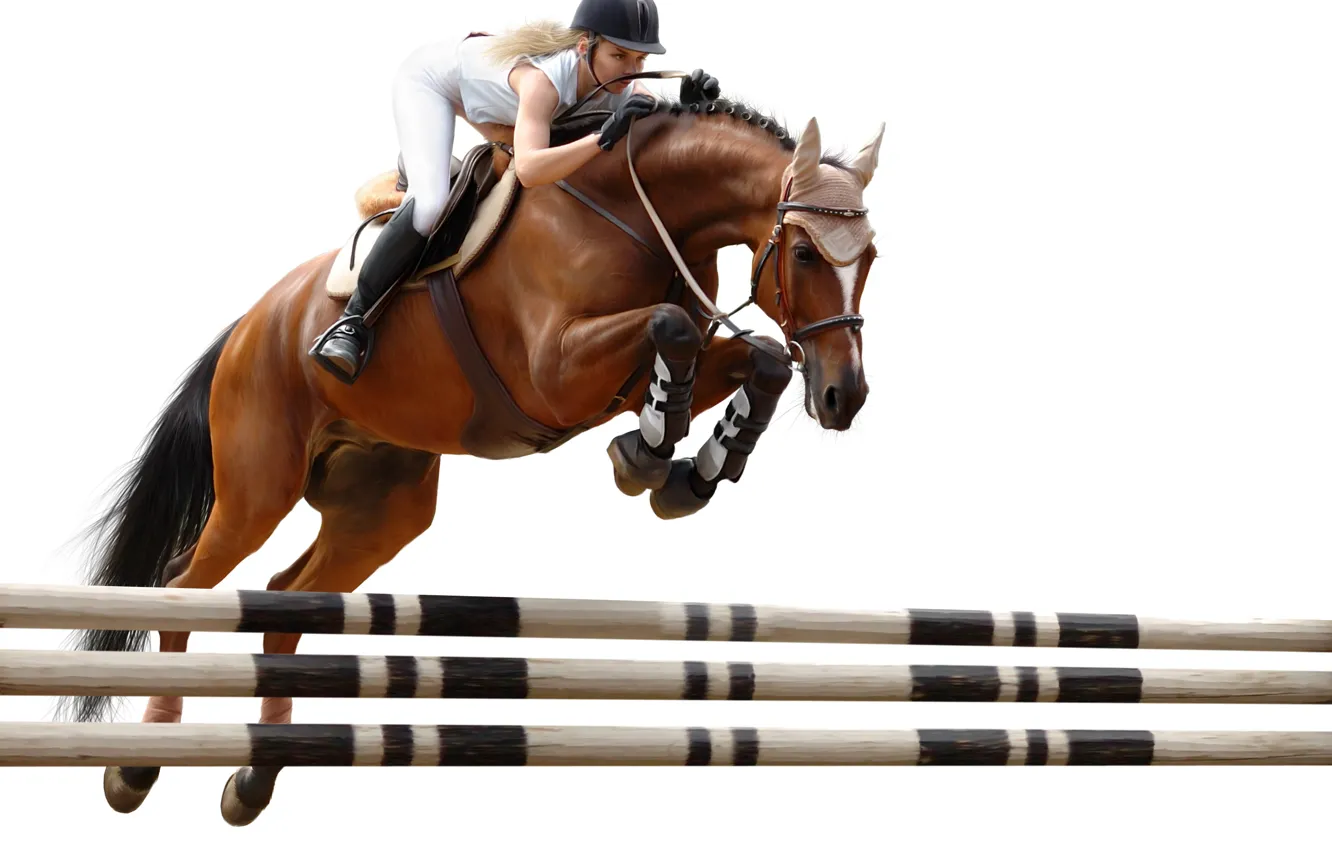 Фото обои прыжок, лошадь, наездница, препятствие, конный спорт
