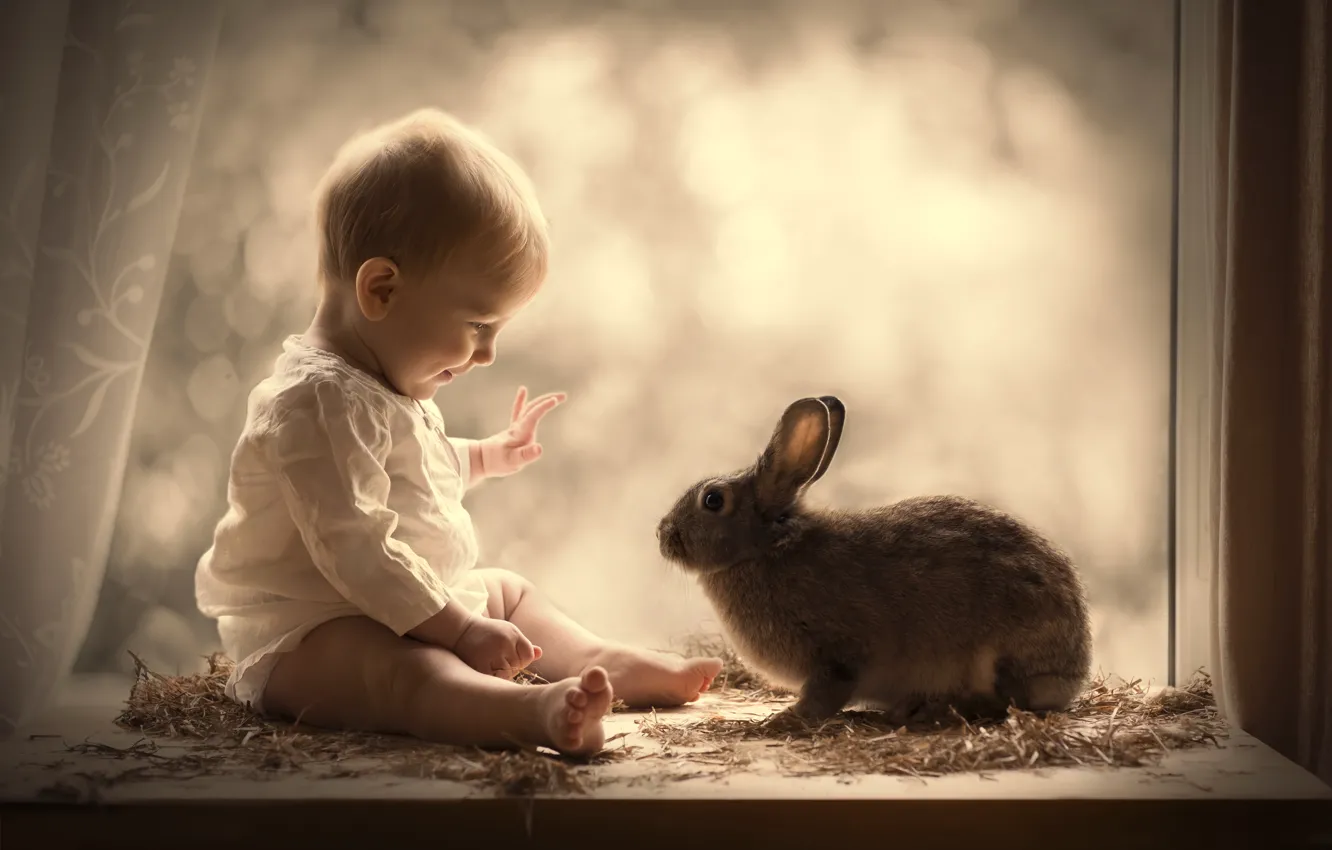 Фото обои мальчик, кролик, окно