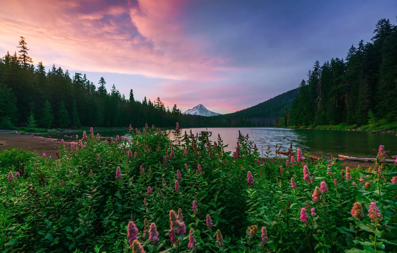 Фото обои пейзаж, закат, горы, природа, озеро, Орегон, США, травы