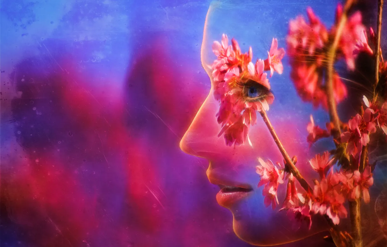 Фото обои цветы, лицо, ветка, весна, профиль