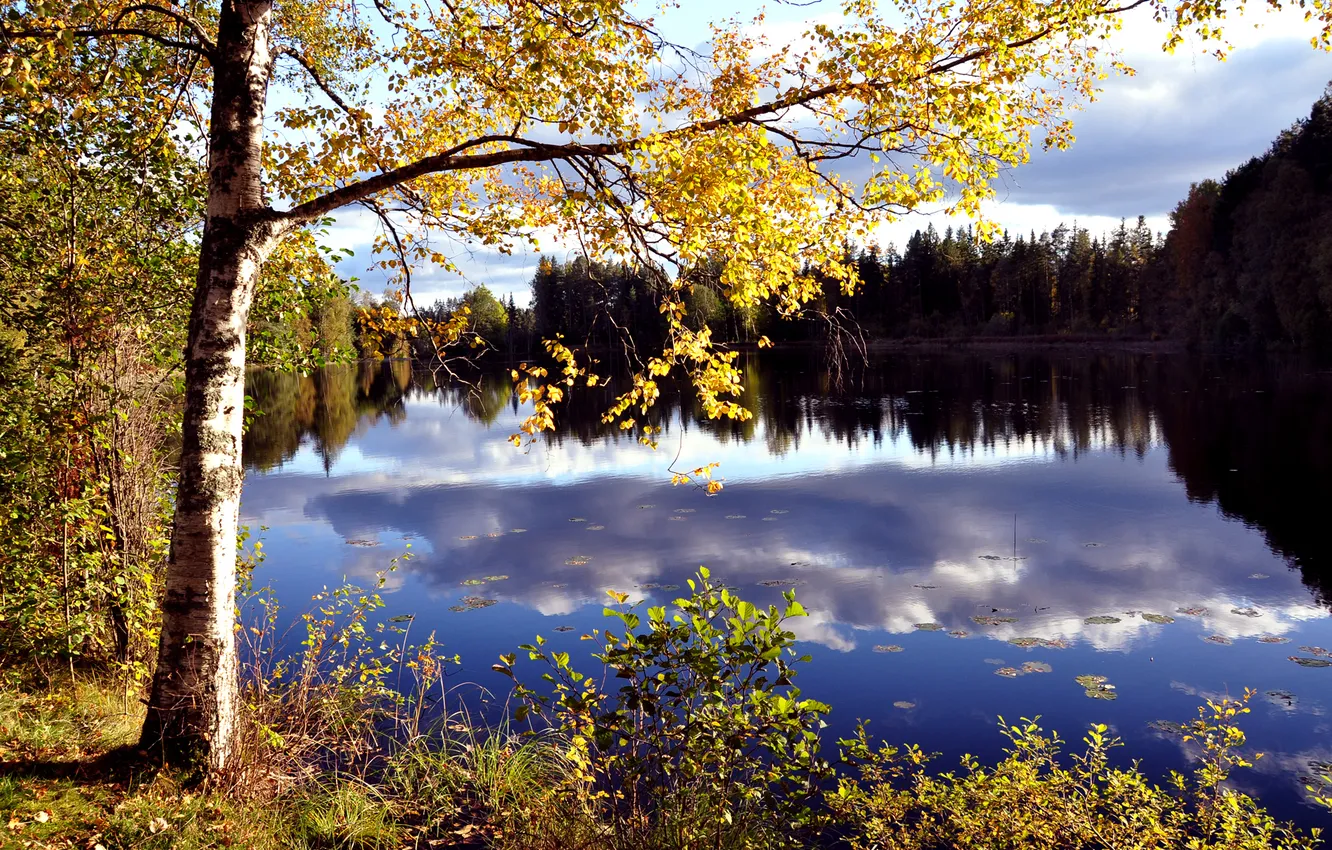Фото обои осень, лес, небо, природа, озеро