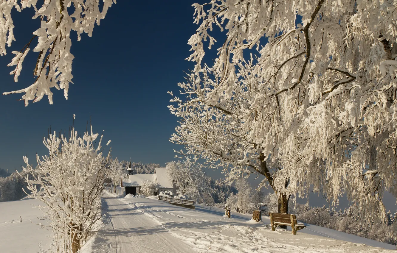 Фото обои зима, дорога, снег, ветки, природа