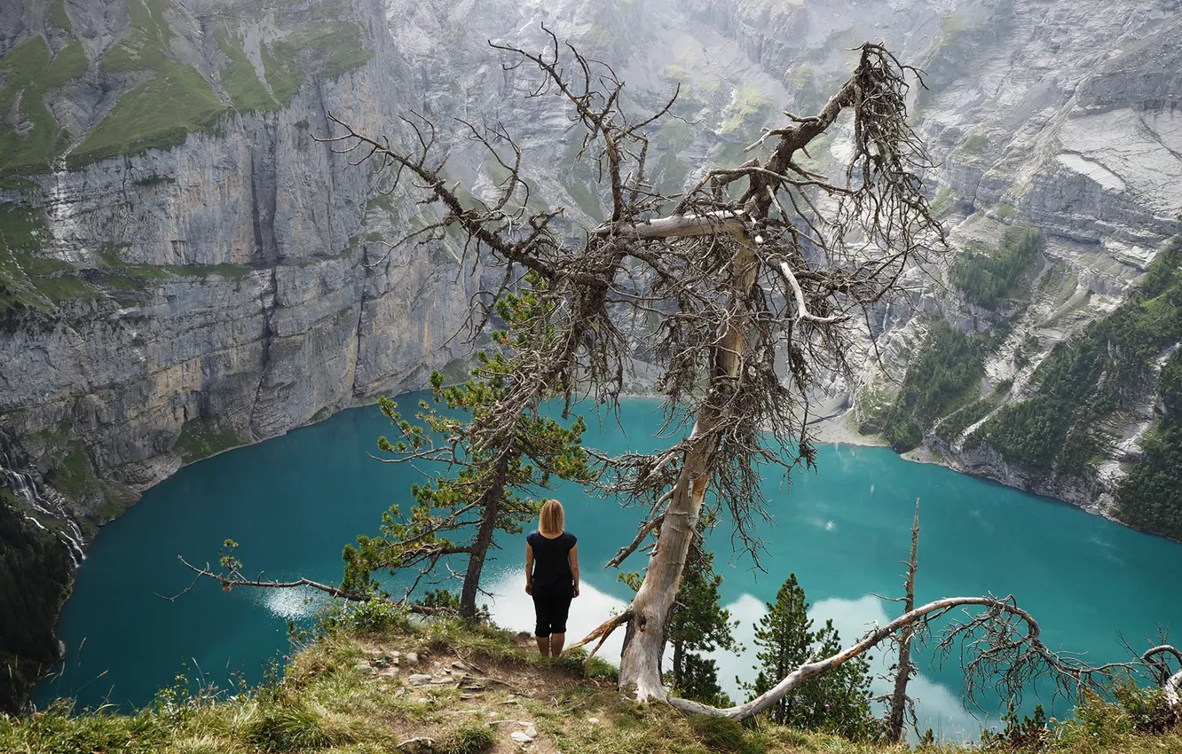 Фото обои дерево, скалы, Switzerland, водоём, Озеро Oeschinensee
