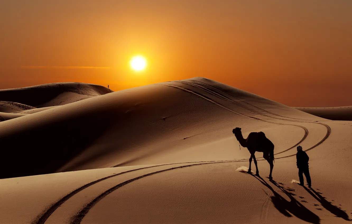 Фото обои солнце, барханы, люди, пустыня, верблюд