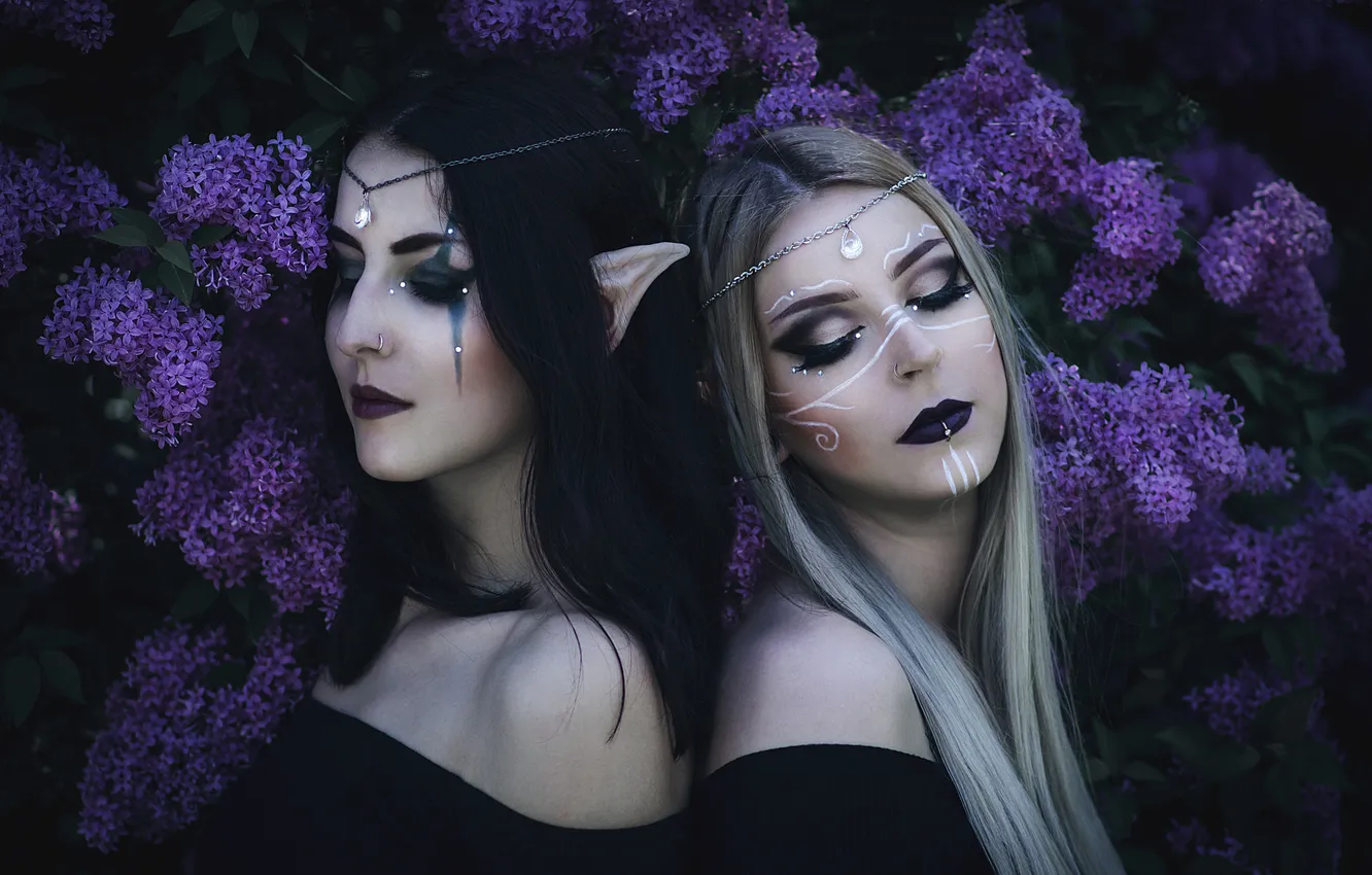 Фото обои девушка, украшения, цветы, стиль, темный фон, макияж, фэнтези, пара