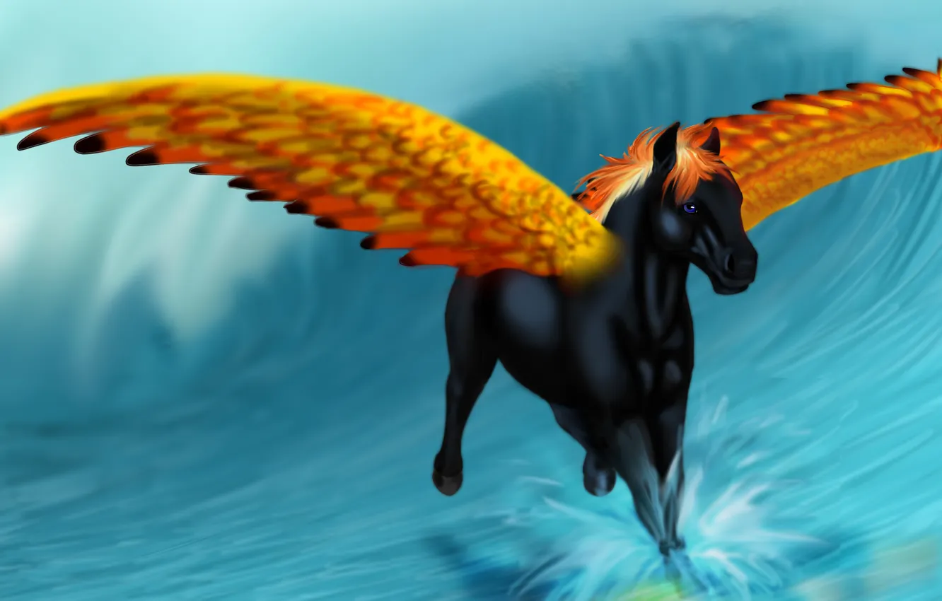Фото обои взгляд, вода, брызги, лошадь, крылья, арт, грива, черная