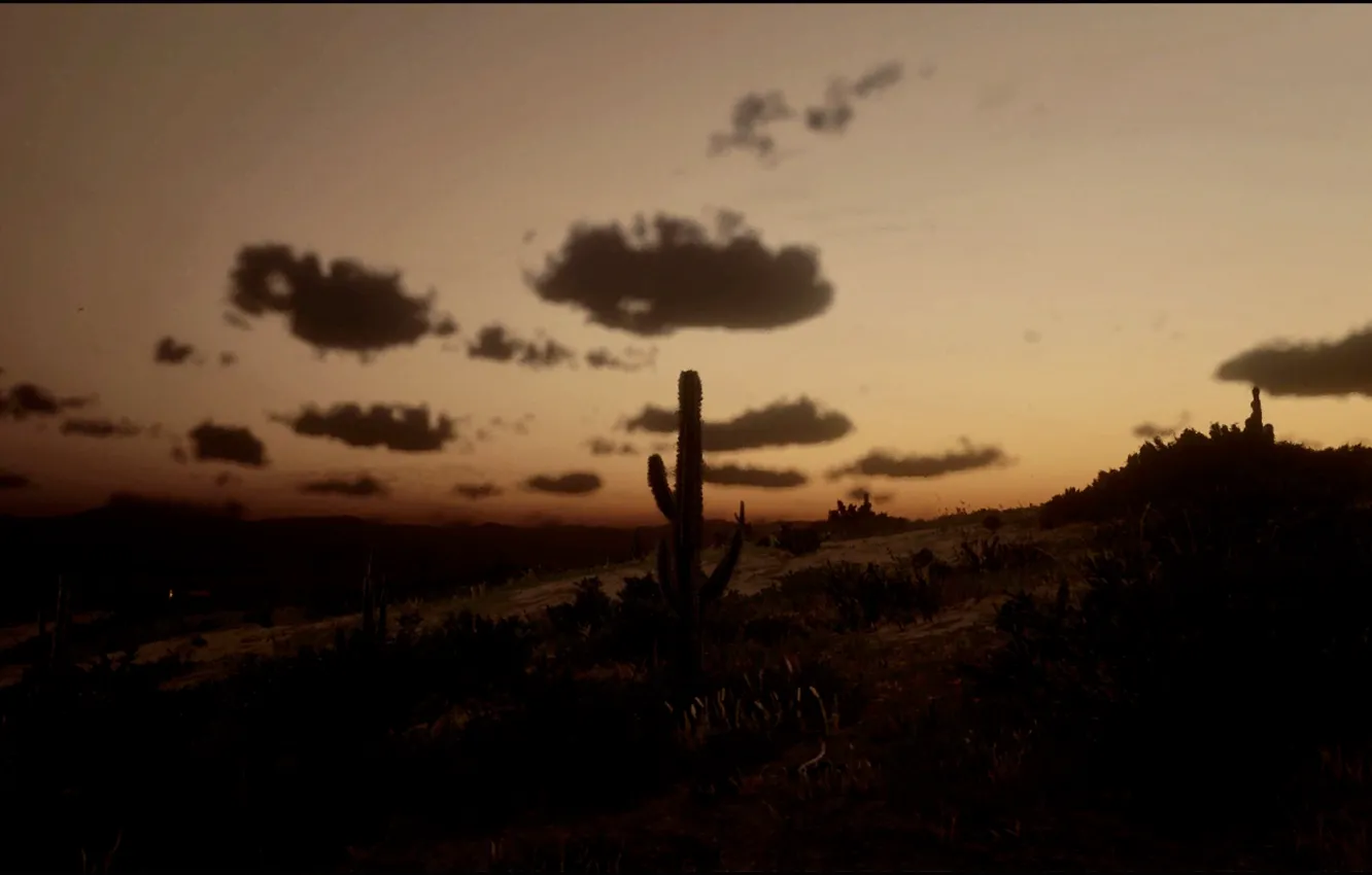 Фото обои HDR, Nature, Horizon, Landscape, Game, Desert, Cactus, Xbox One S