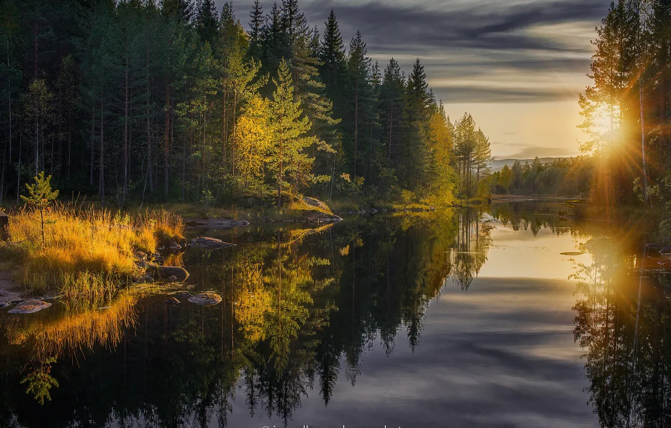 Фото обои осень, лес, деревья, отражение, река, лучи солнца, Jorn Allan Pedersen