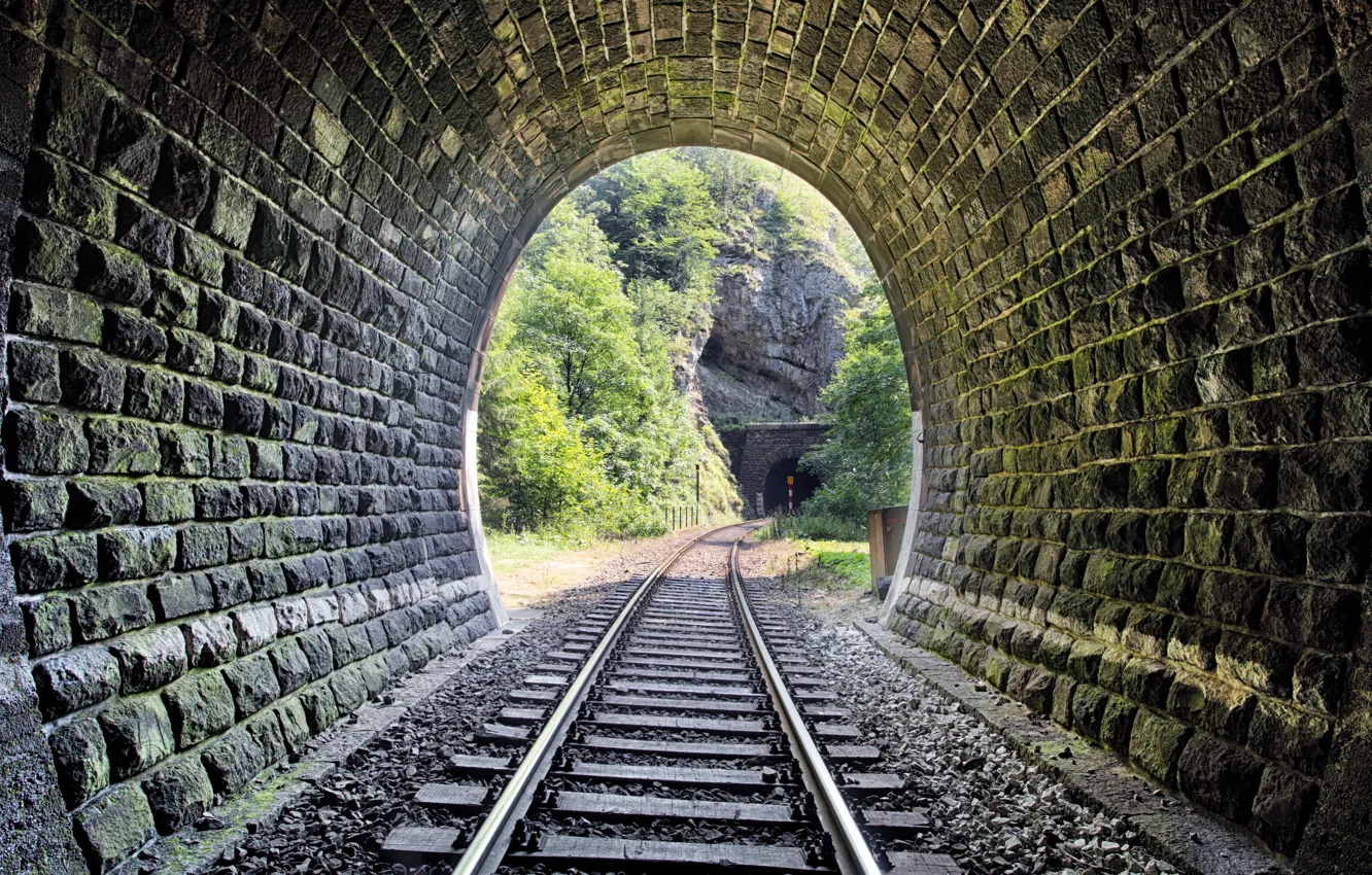 Фото обои metal, wood, tunnel, stones, railway, Trees