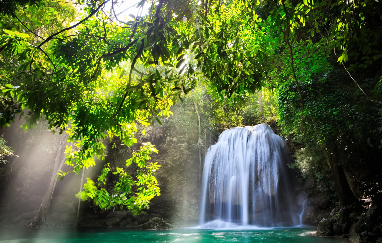 Фото обои вода, солнце, деревья, природа, водопад, красиво, Thailand, солнечные лучи