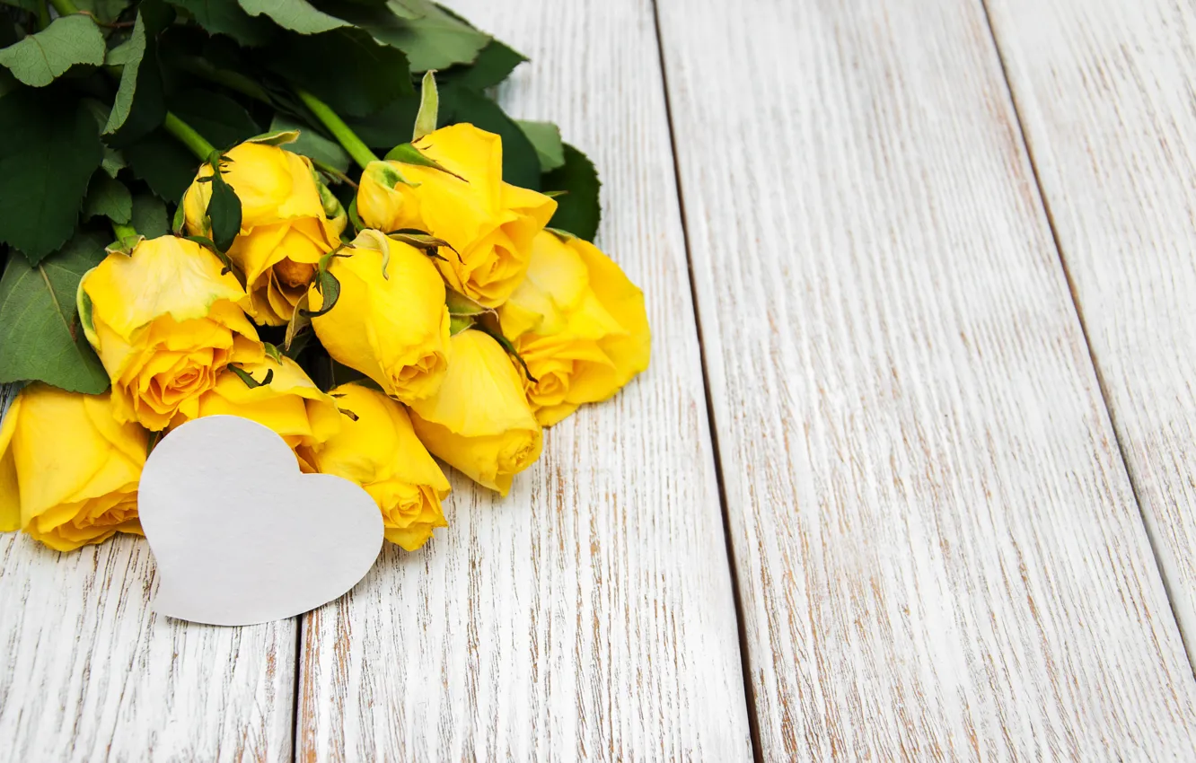 Фото обои розы, бутоны, сердечко, Olena Rudo