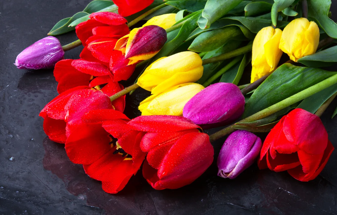 Фото обои цветы, букет, colorful, тюльпаны, flowers, beautiful, tulips, spring