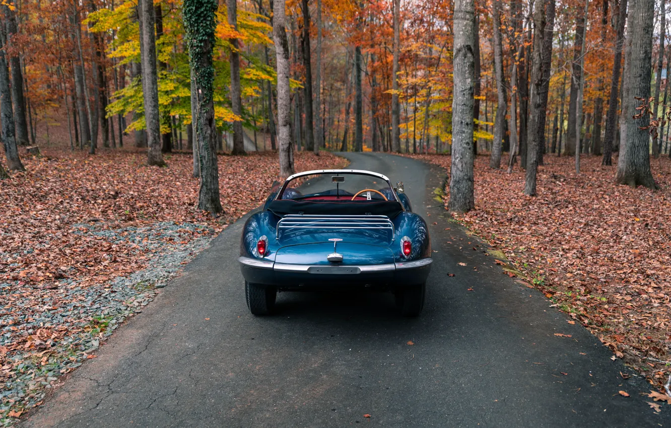 Фото обои Jaguar, rear, 1957, XKSS, Jaguar XKSS