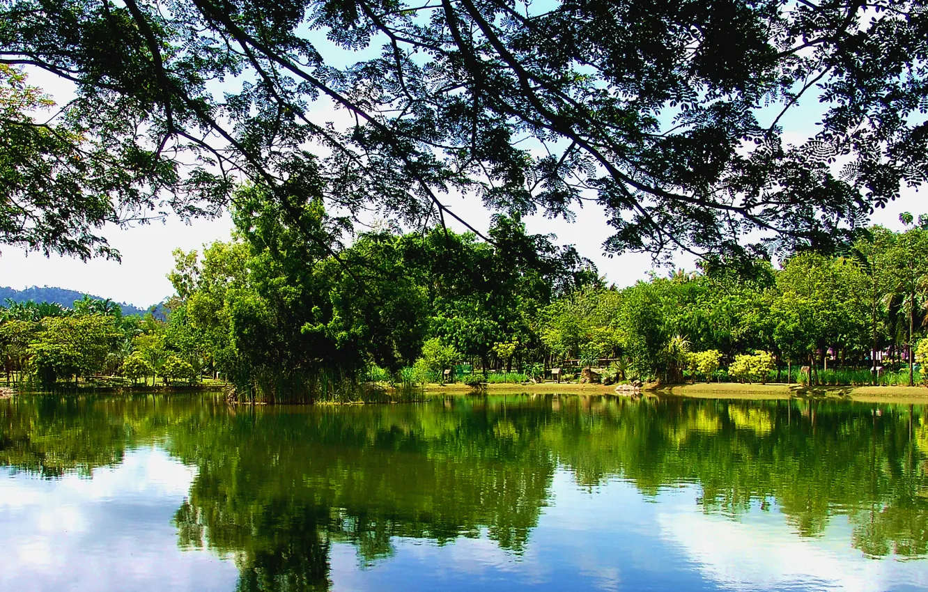 Фото обои зелень, отражения, природа, озеро, green, Nature, trees, Турция