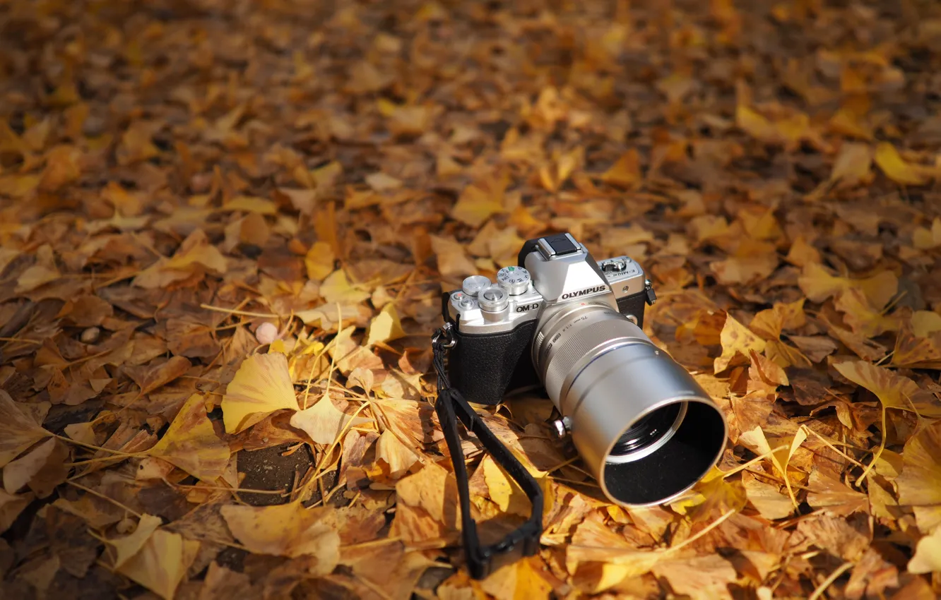 Фото обои осень, листья, фотоаппарат, Olympus OM-D