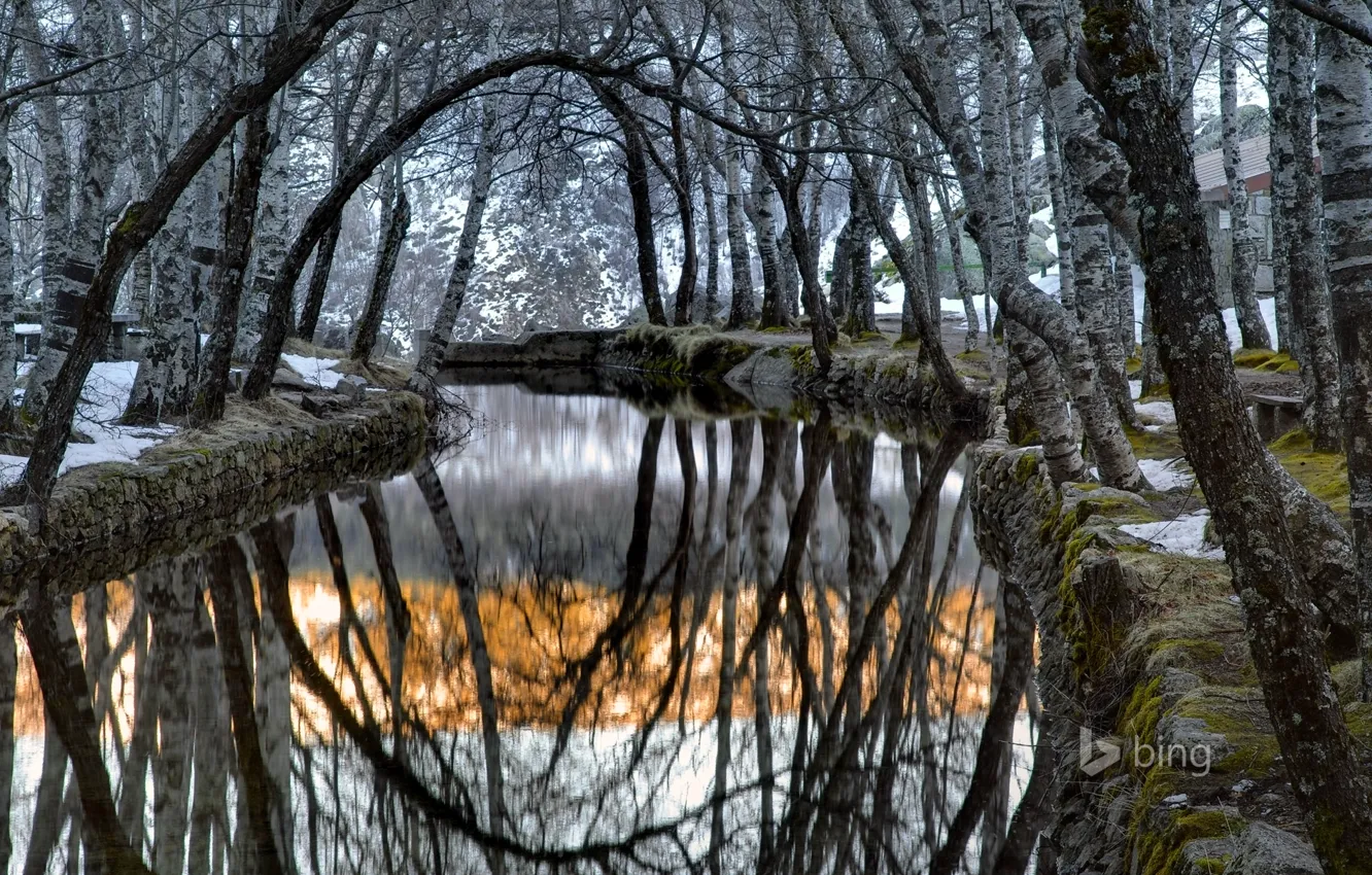 Фото обои снег, деревья, туман, Португалия, Серра-да-Эштрела, Covao da Ametade. река Зезере