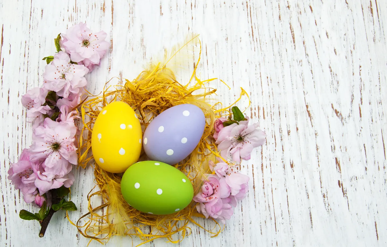 Фото обои цветы, яйца, весна, colorful, Пасха, happy, wood, pink
