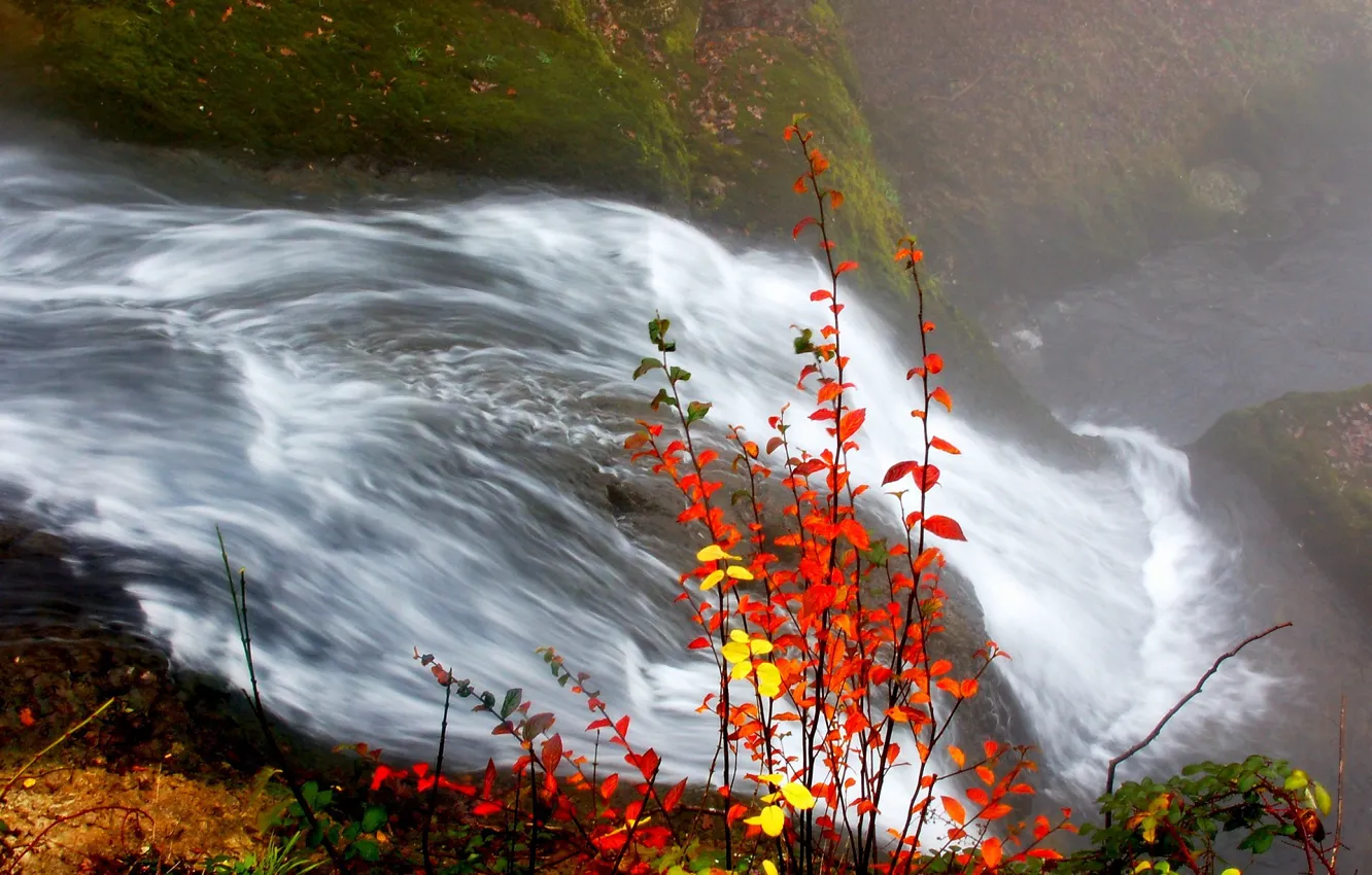 Фото обои осень, листья, река, Водопад