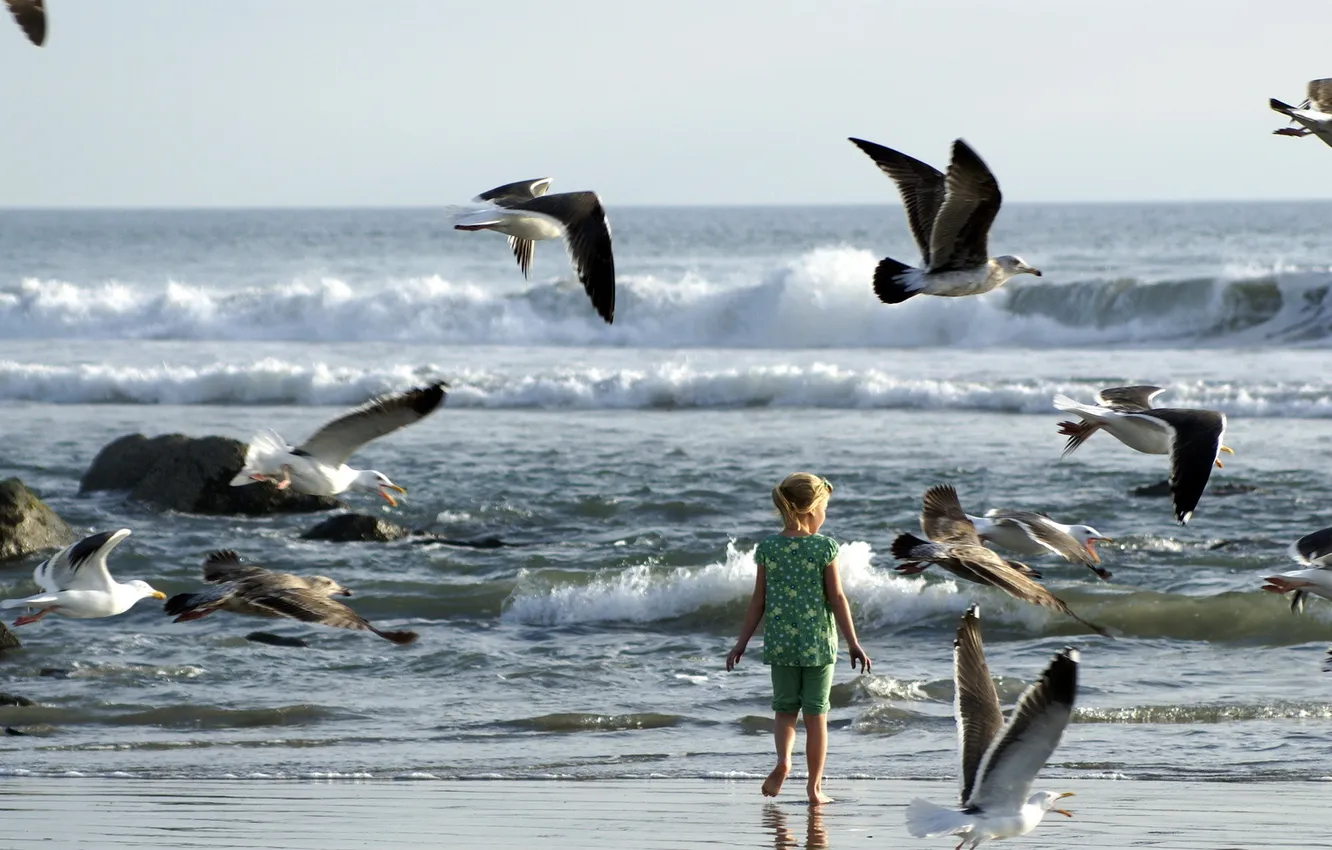 Фото обои море, птицы, девочка