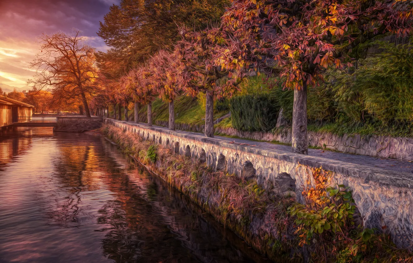 Фото обои осень, деревья, озеро, Швейцария, набережная