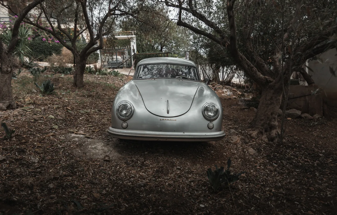 Фото обои Porsche, 1953, 356, Porsche 356