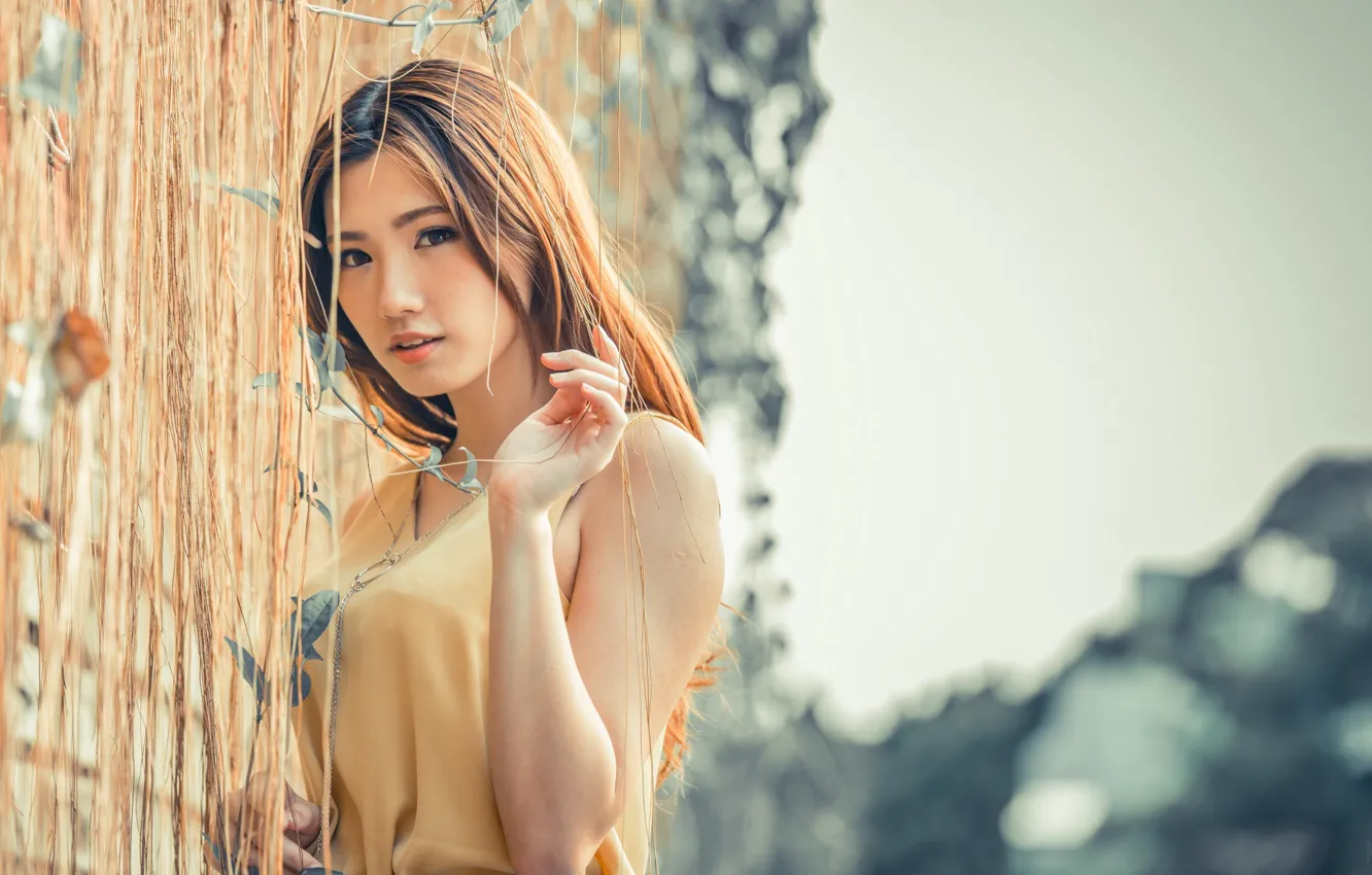 Фото обои взгляд, азиатка, карие глаза, asian, милая девушка
