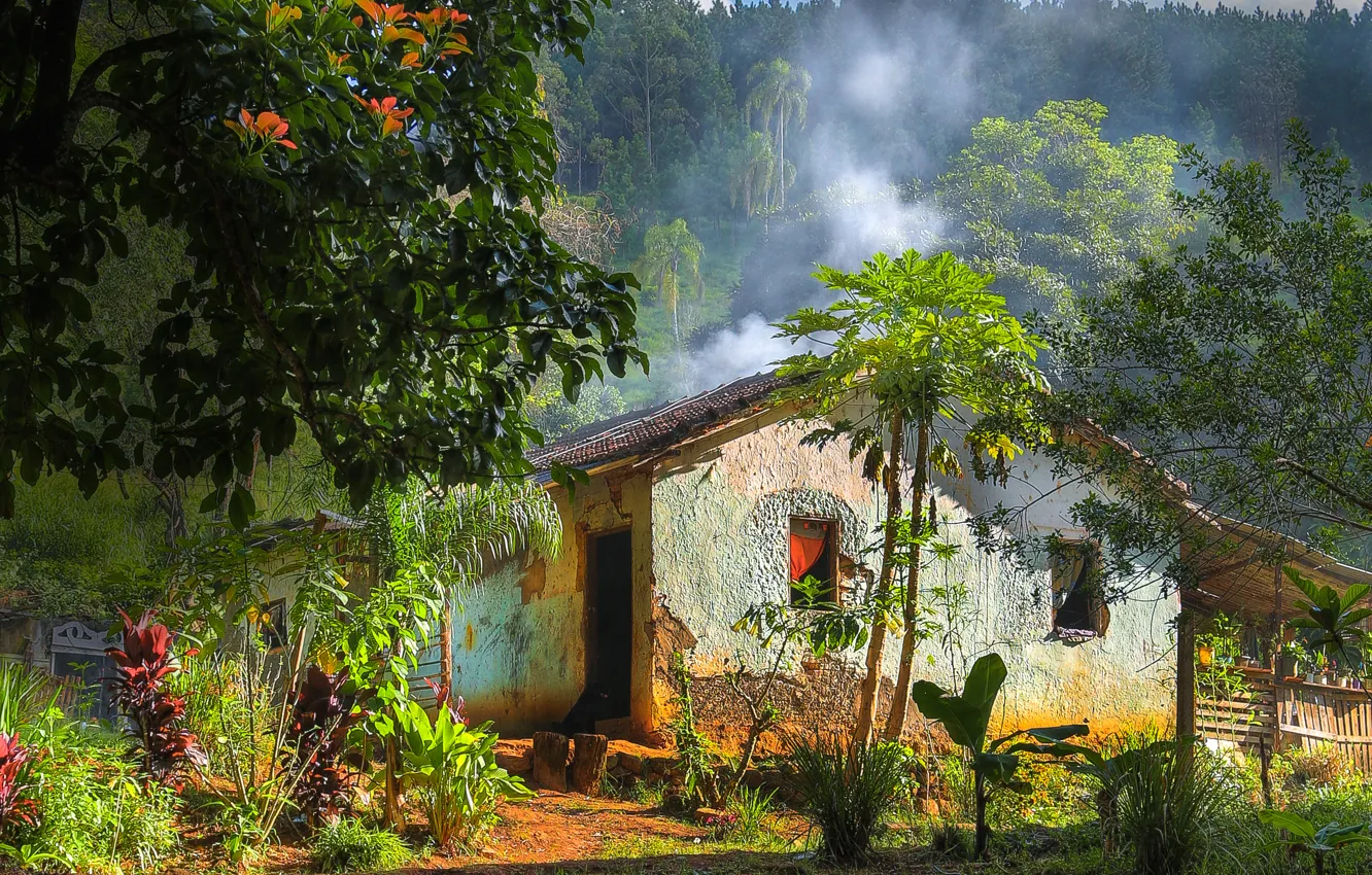 Фото обои дом, деревня, джунгли, hdr, HOUSE, COUNTRY