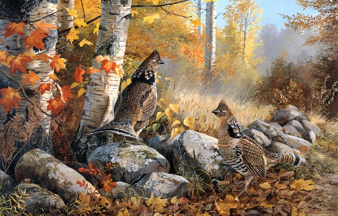 Фото обои осень, лес, листья, деревья, птицы, ветки, природа, камни