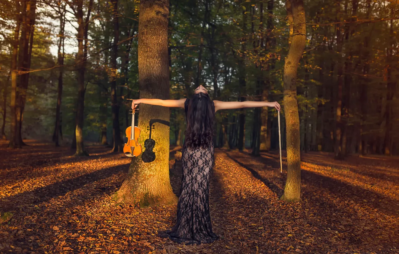 Фото обои осень, лес, скрипка, смычок, скрипачка