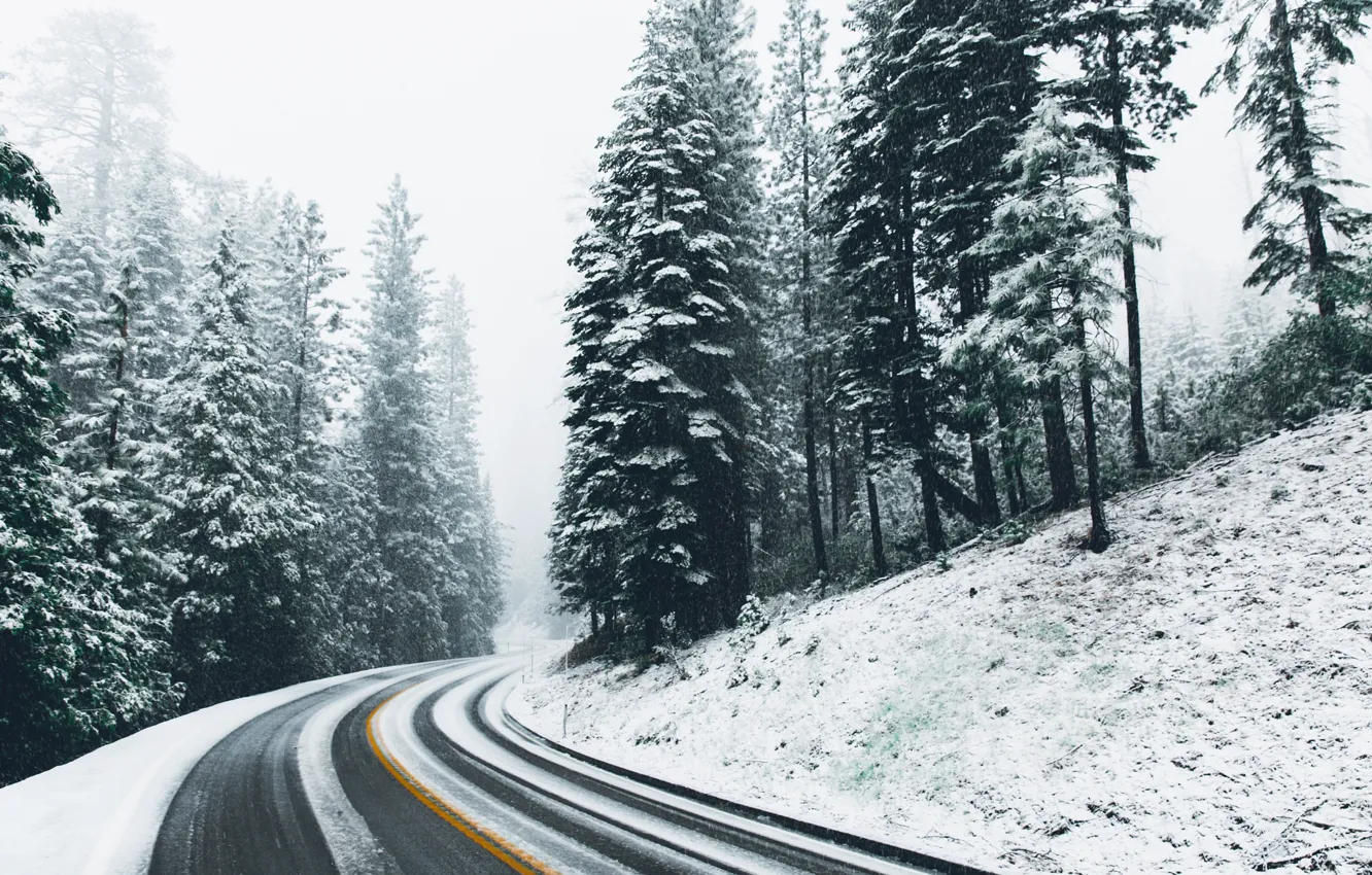 Фото обои зима, дорога, лес, снег, природа