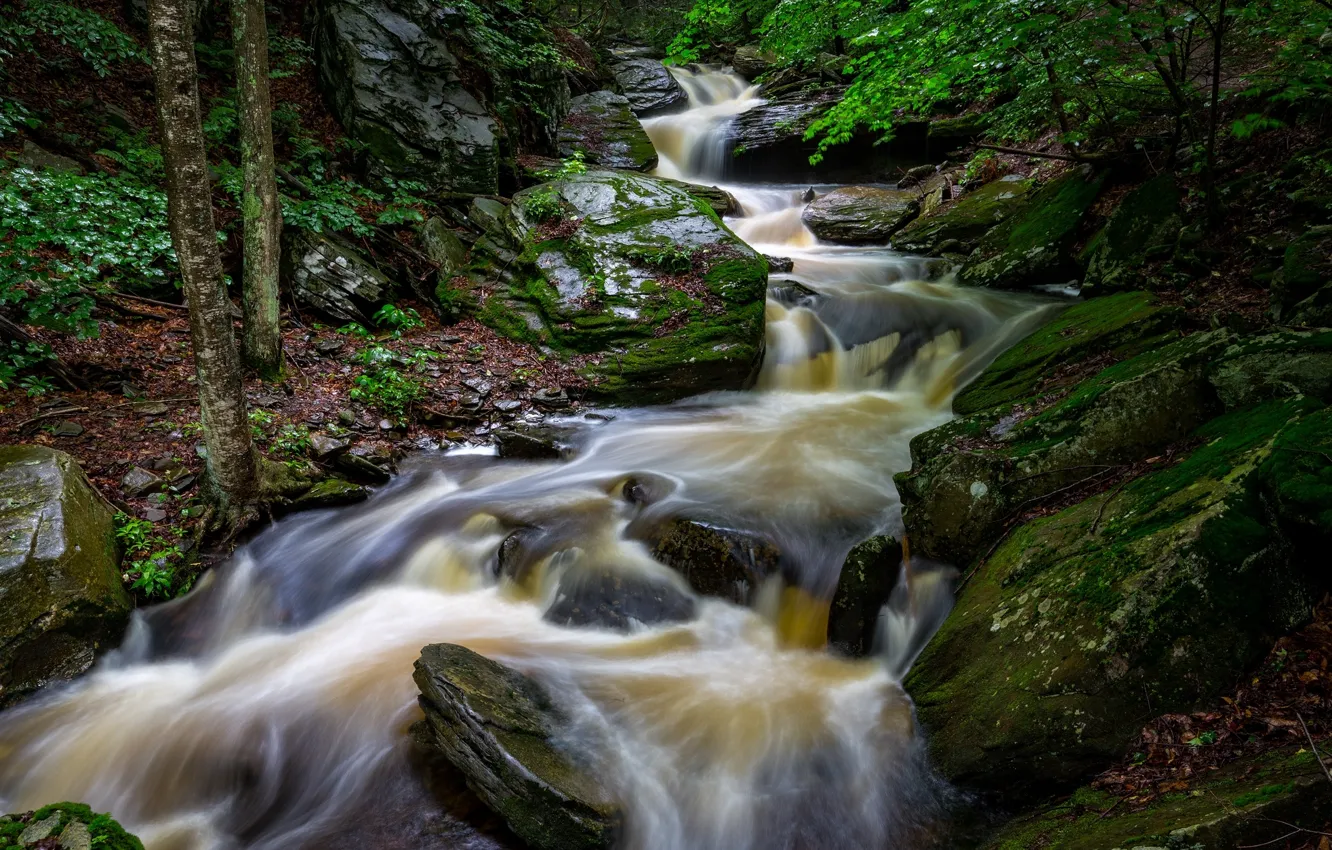 Фото обои зелень, вода, река, камни, поток