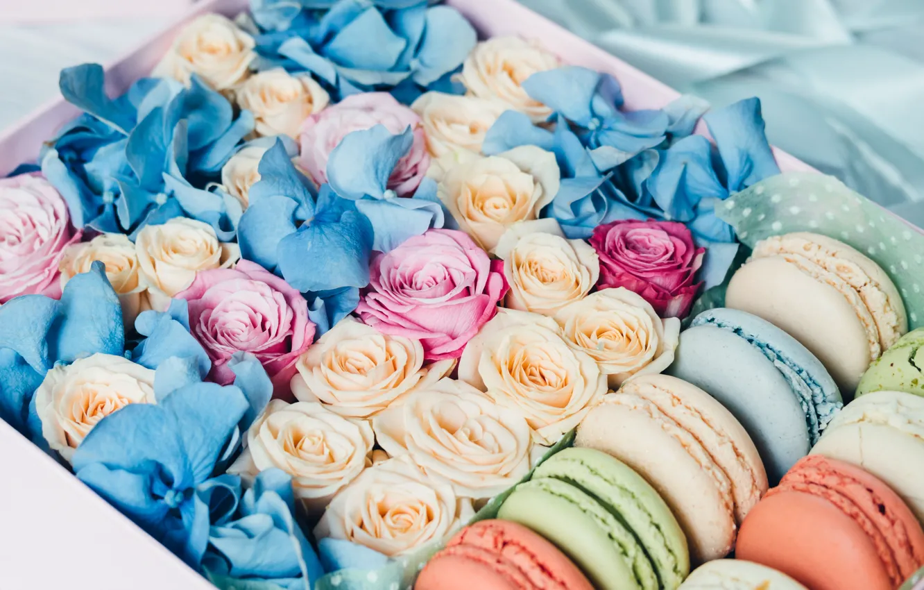 Фото обои цветы, подарок, розы, бутоны, разноцветные, корбка