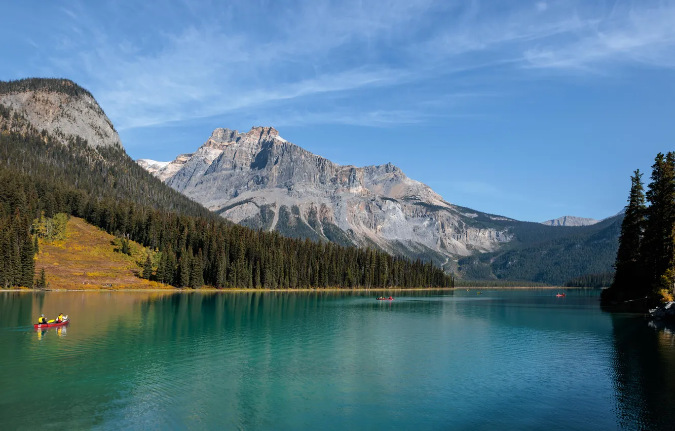 Фото обои лес, горы, озеро, синева, берег