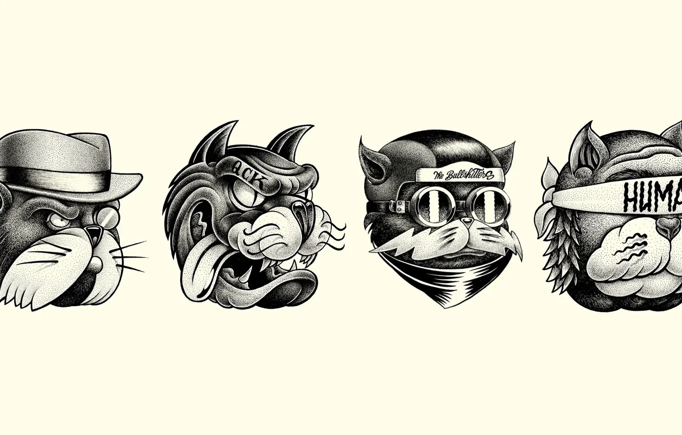 Фото обои кот, минимализм, юмор, арт, art, cats, Minimalism, Hello Shane