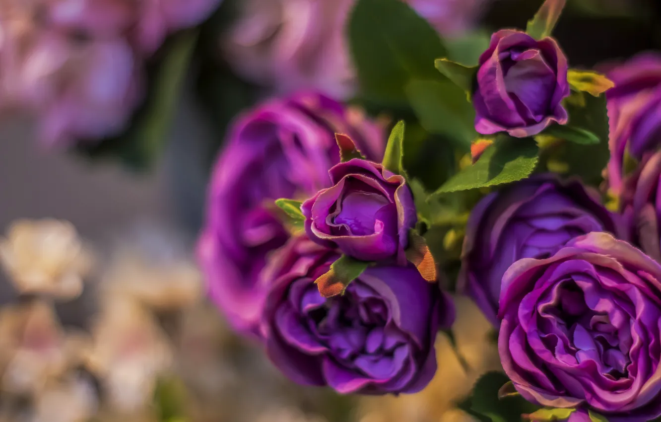 Фото обои цветы, розы, искусственные цветы