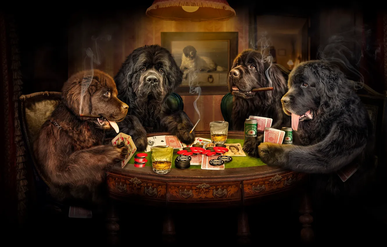 Фото обои взгляд, морда, свет, поза, темный фон, рендеринг, стол, друг