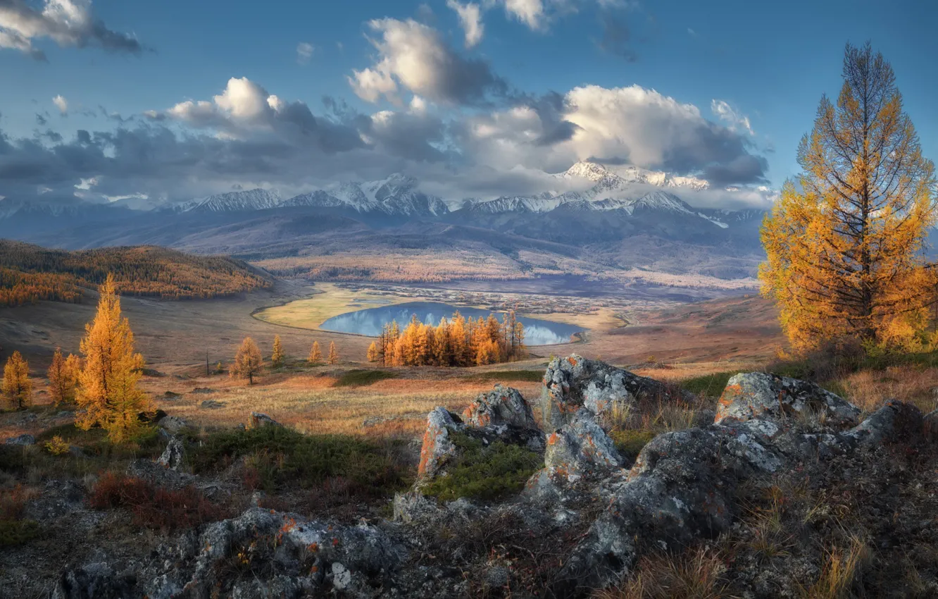 Фото обои осень, лес, облака, деревья, горы, природа, туман, озеро