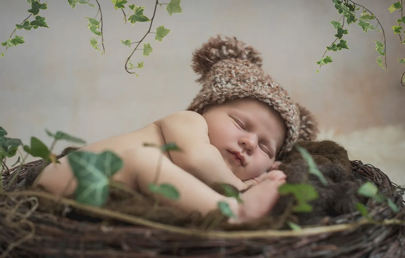 Фото обои сон, гнездо, ребёнок, шапочка, младенец, спящий