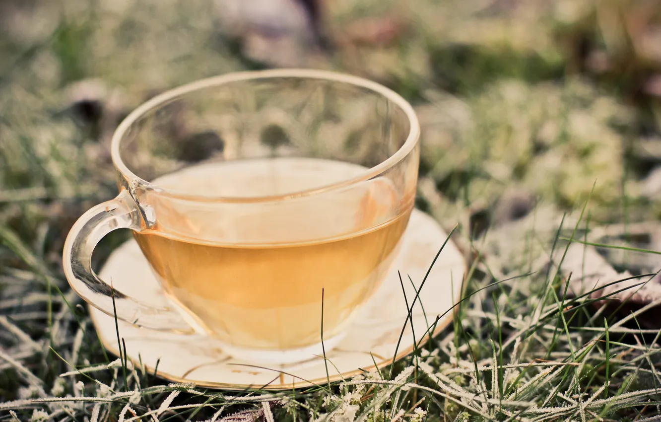 Фото обои трава, чай, кружка, напиток, блюдце