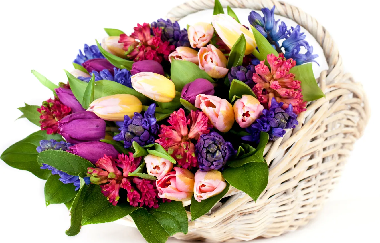 Фото обои листья, цветы, корзина, букет, тюльпаны, бутоны