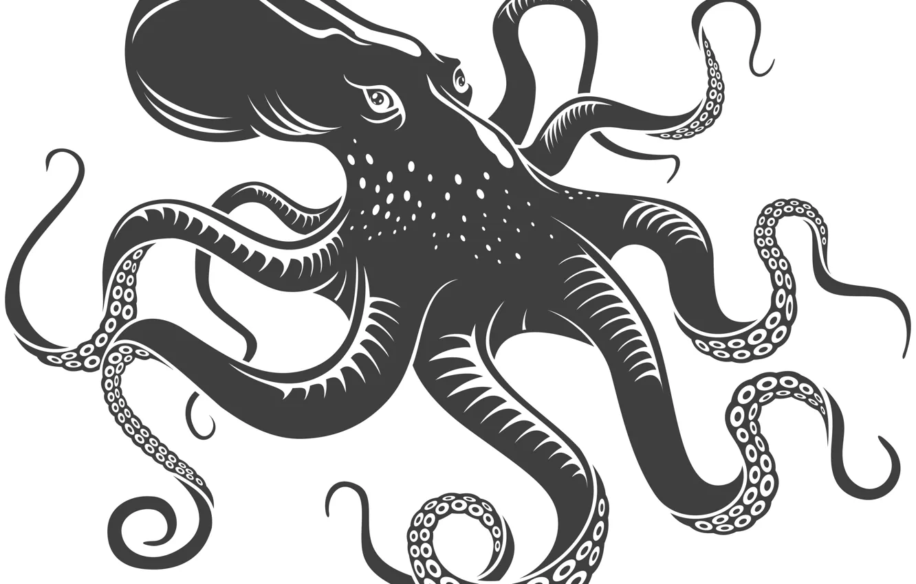 Фото обои black, octopus, Eyes, tentacles