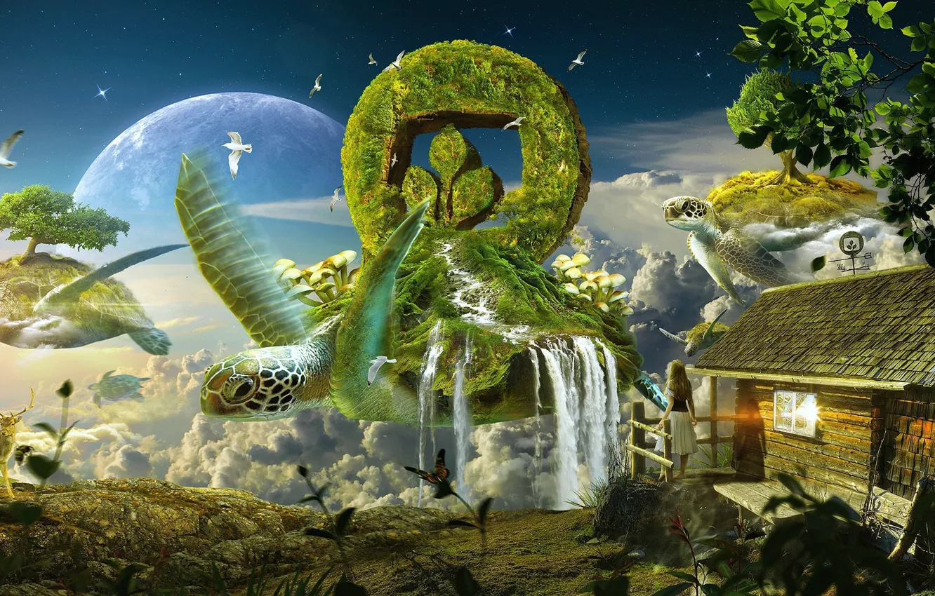Фото обои небо, девушка, облака, деревья, птицы, дом, знак, грибы