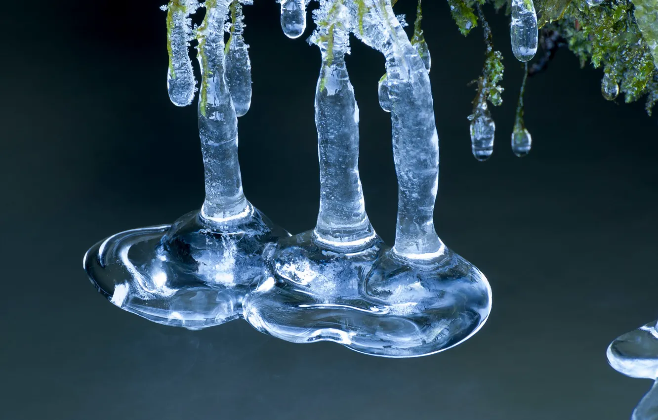 Фото обои ice, winter, snow