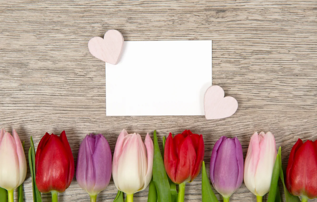 Фото обои цветы, colorful, сердечки, тюльпаны, love, heart, pink, flowers