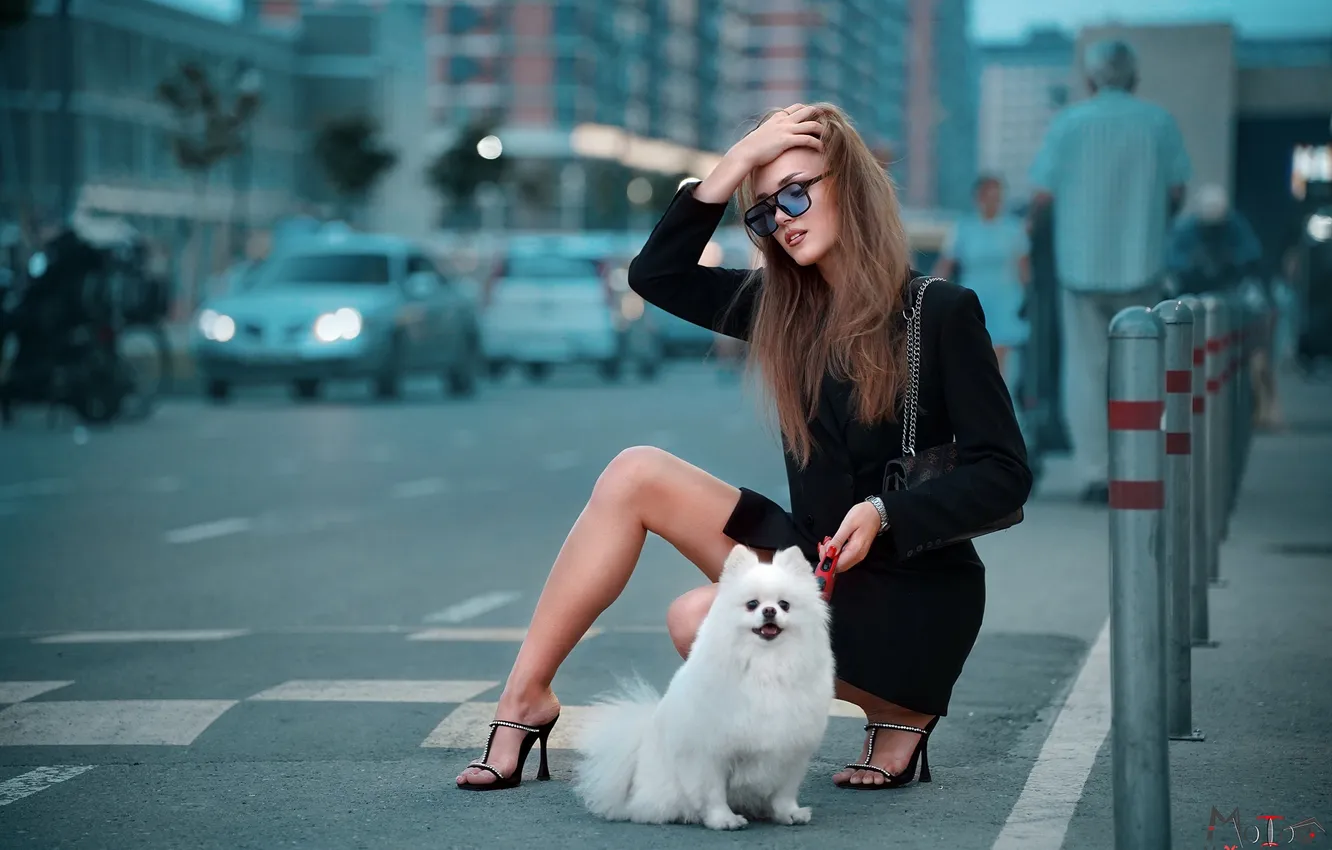 Фото обои девушка, city, cars, animals, dog, model, people, women