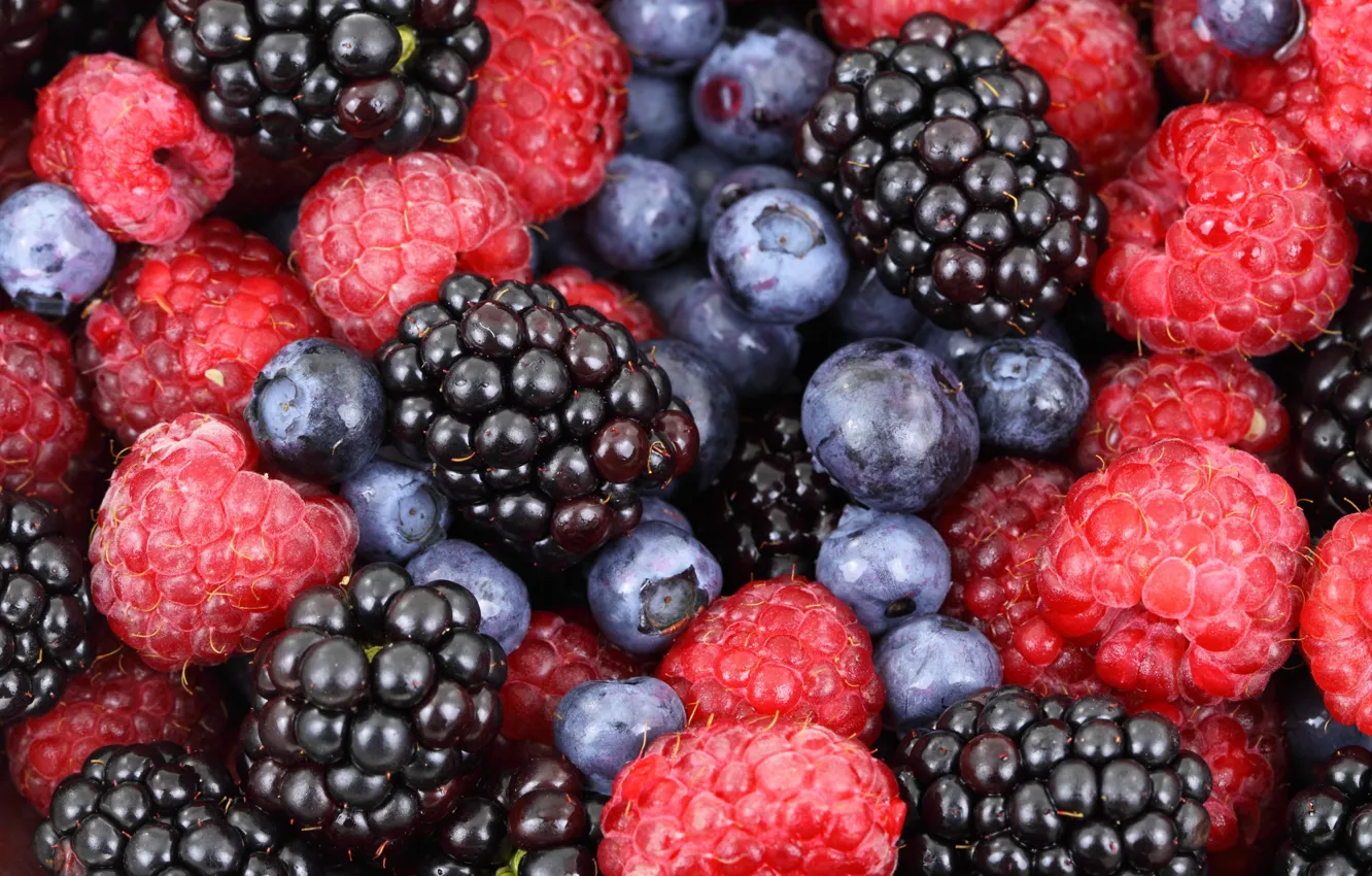 Фото обои Fruits, Berries, Blueberries, Blackberries
