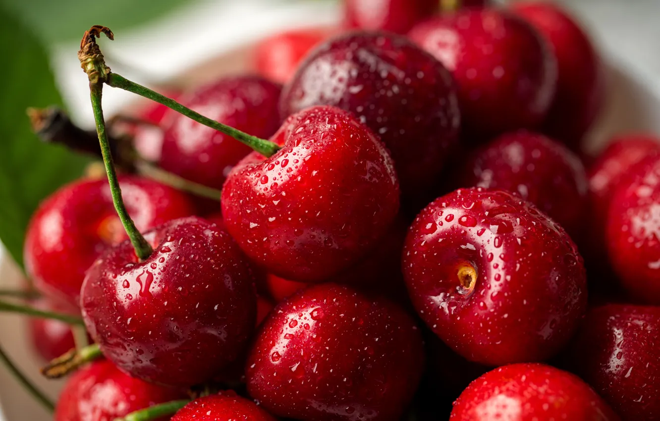 Фото обои вишня, ягоды, дерево, fresh, wood, basket, cherries, Sweet